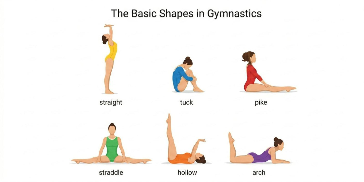 Basic Gymnastics Shapes: Master the 6 Core Positions for Kids